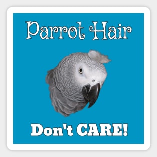 African Grey Parrot Feather Hair Magnet